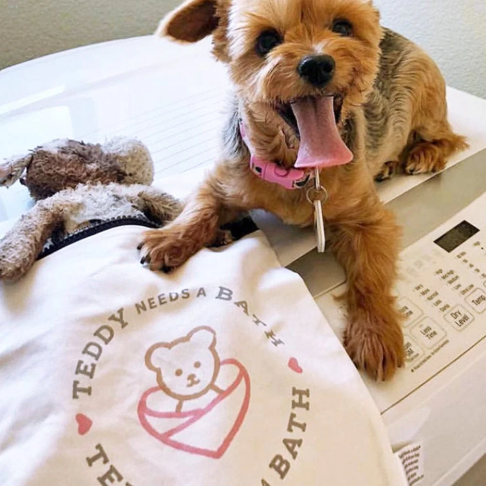 Teddy Needs a Bath Small Washer and Dryer Bag - 10"X15" - Image 7